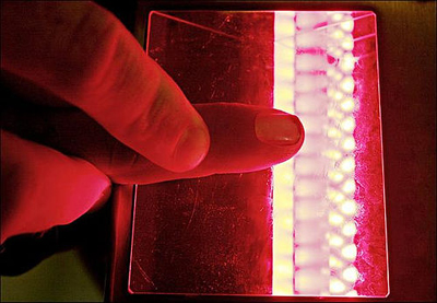 Ten Cent Tape Fools Border&nbsp;Security