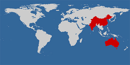 Australian Treasury too rosy about&nbsp;China
