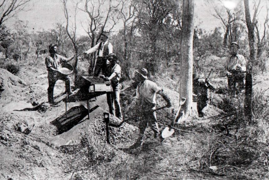 Australian Gold Miners