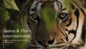 Fauna and Flora International
