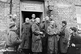 Soviets liberating Auschwitz