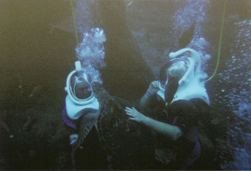 Pictures from the past: aged&nbsp;46