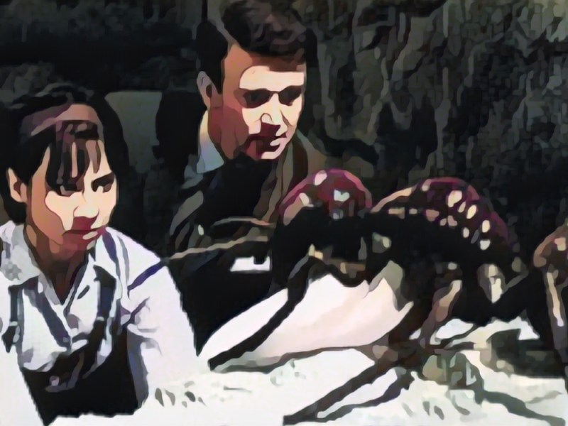 Doctor Who: Planet of&nbsp;Giants