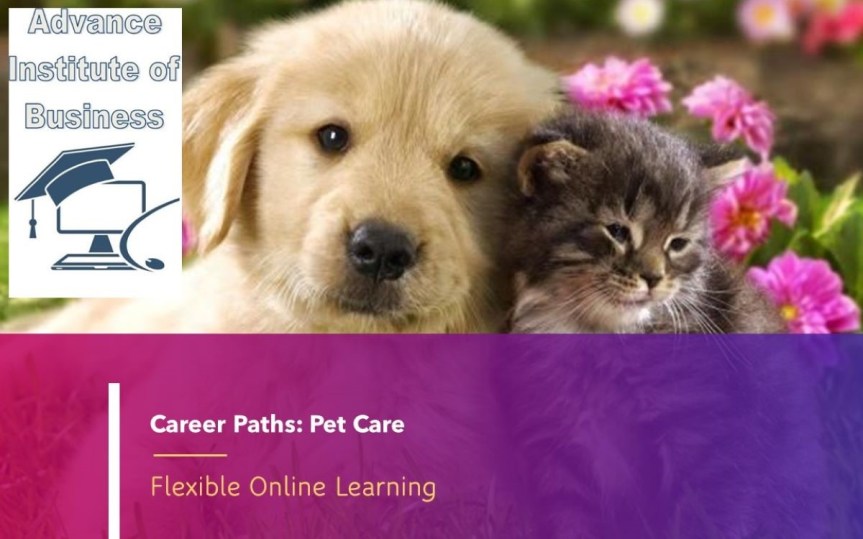 Pet Care English