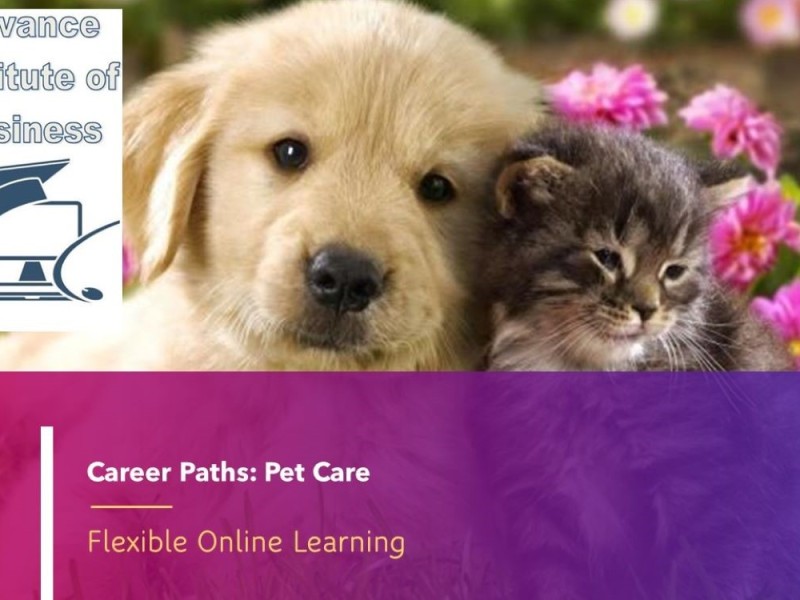 Career Path Courses: Pet Care