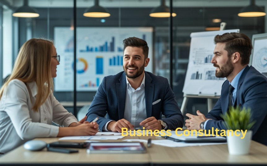 Business Consultancy 01