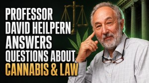 2026 07 29 David Heilpern Thumbnail